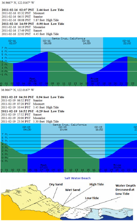 Chart & Profle Fig 1